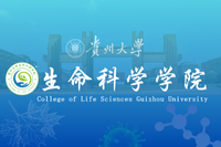 金沙集团3354cc Logo